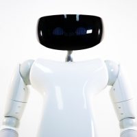 R1 robot