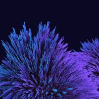 Wallpaper Nexus 2016