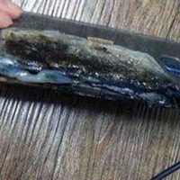 galaxy-note-7