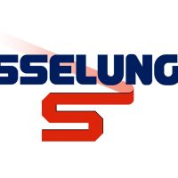 volantino esselunga