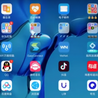 Huawei Harmony OS