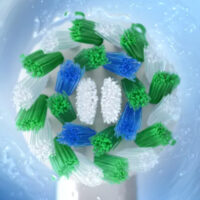 Oral B