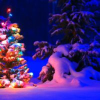 Buon Natale