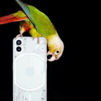 Nothing Phone (1)