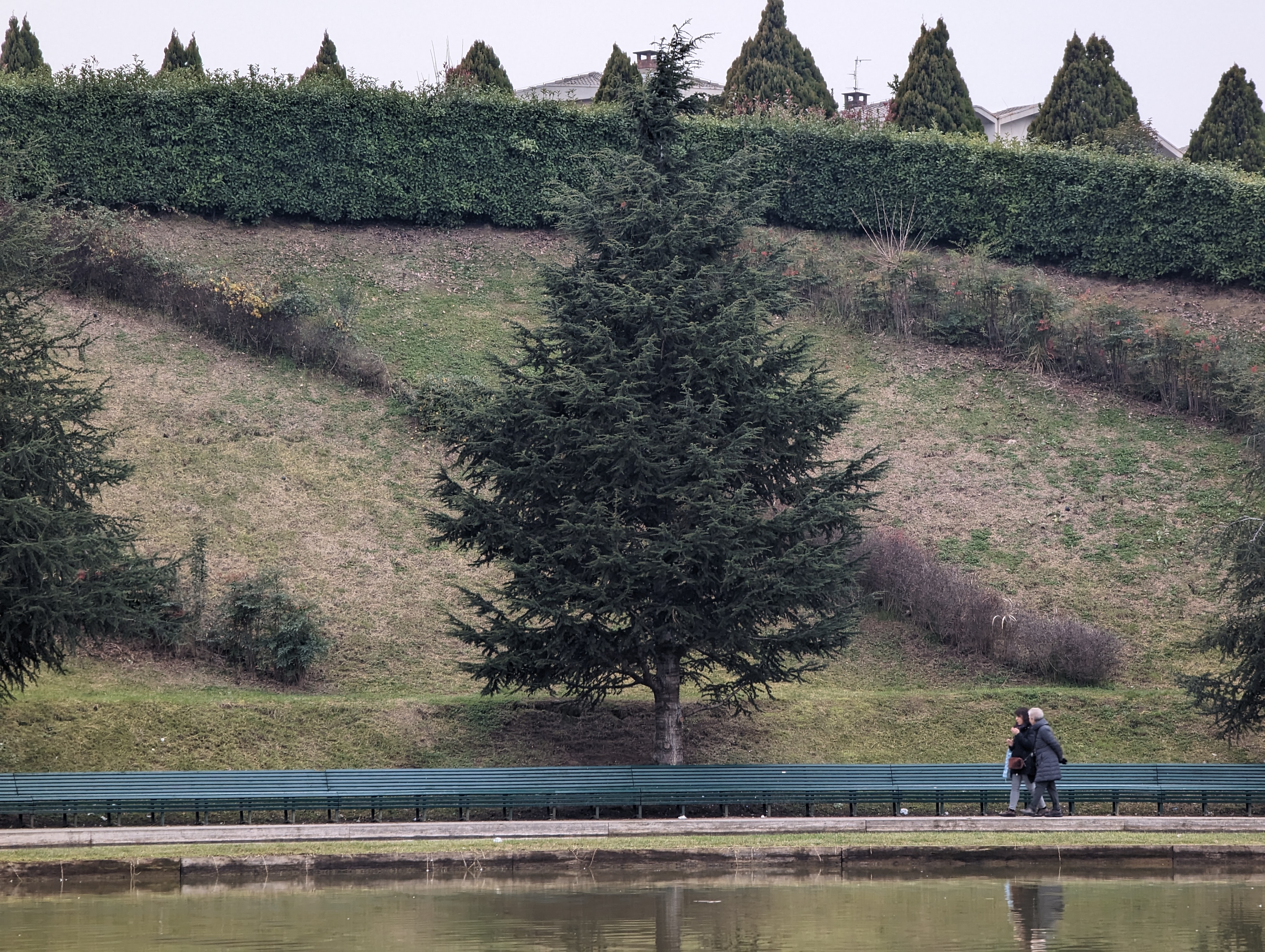 01 ZOOM 5X GOOGLE PIXEL 7 PRO