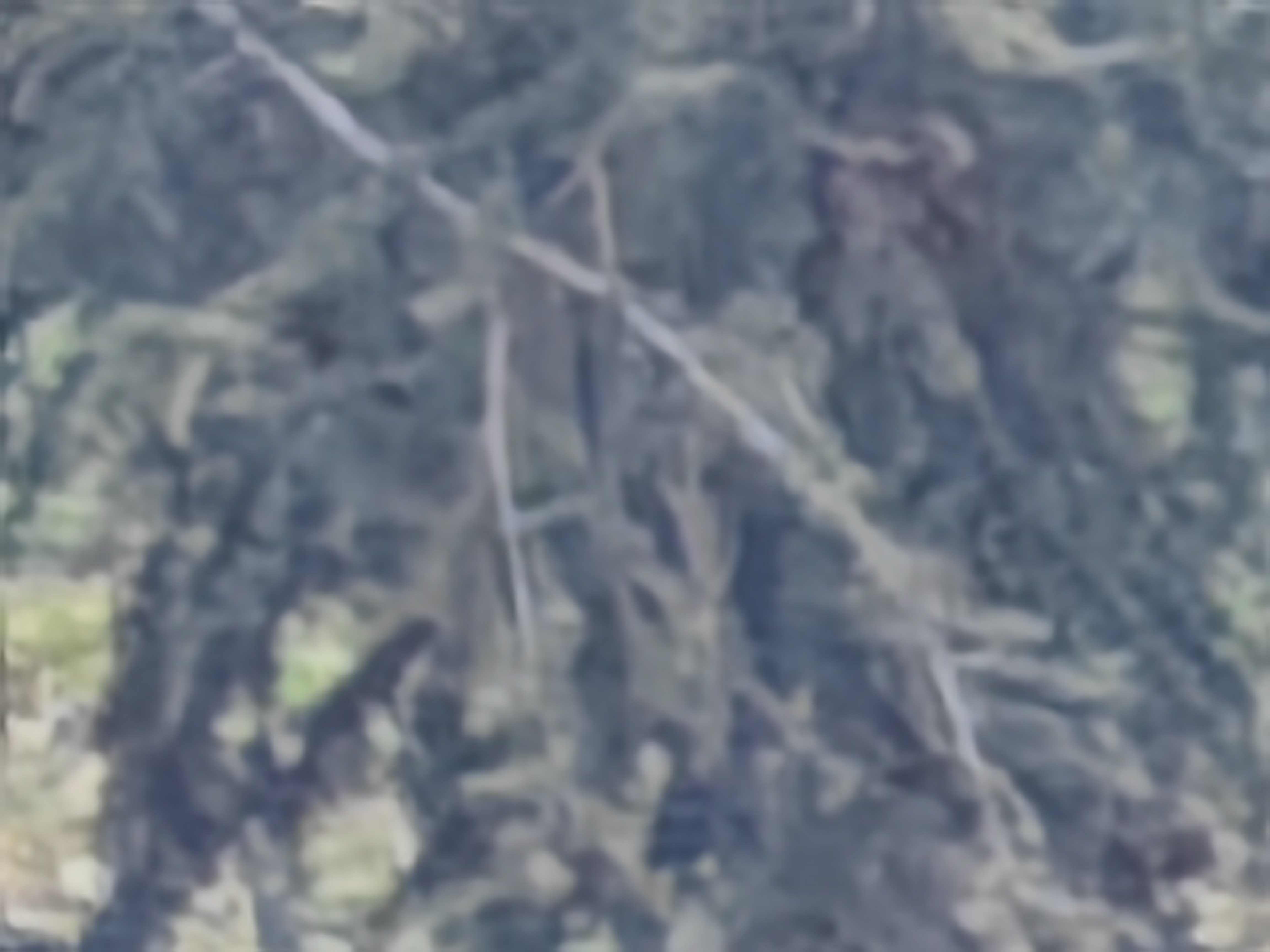 04 ZOOM 100X HONOR MAGIC 4 PRO