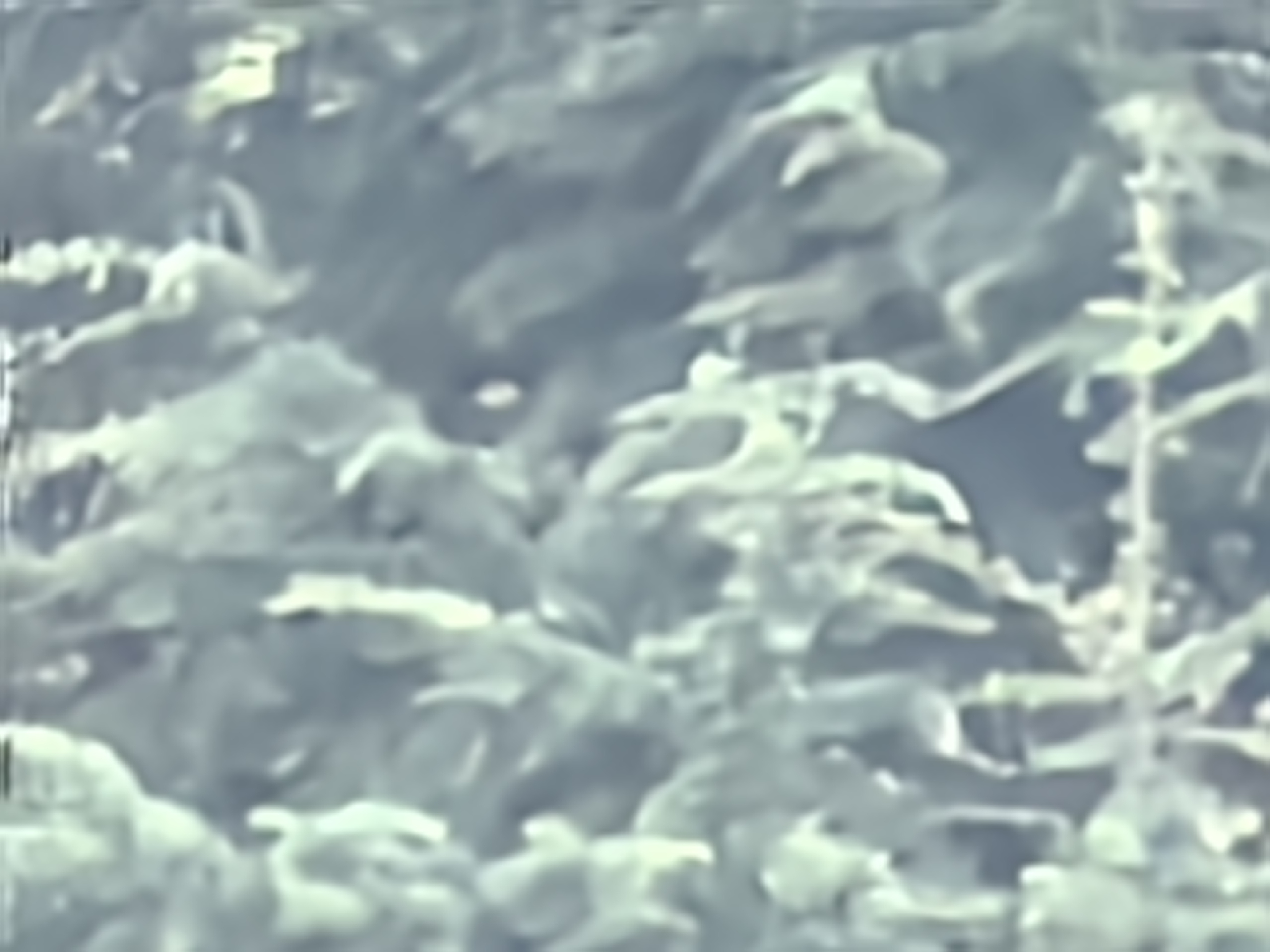 06 ZOOM 100X HUAWEI MATE 50 PRO