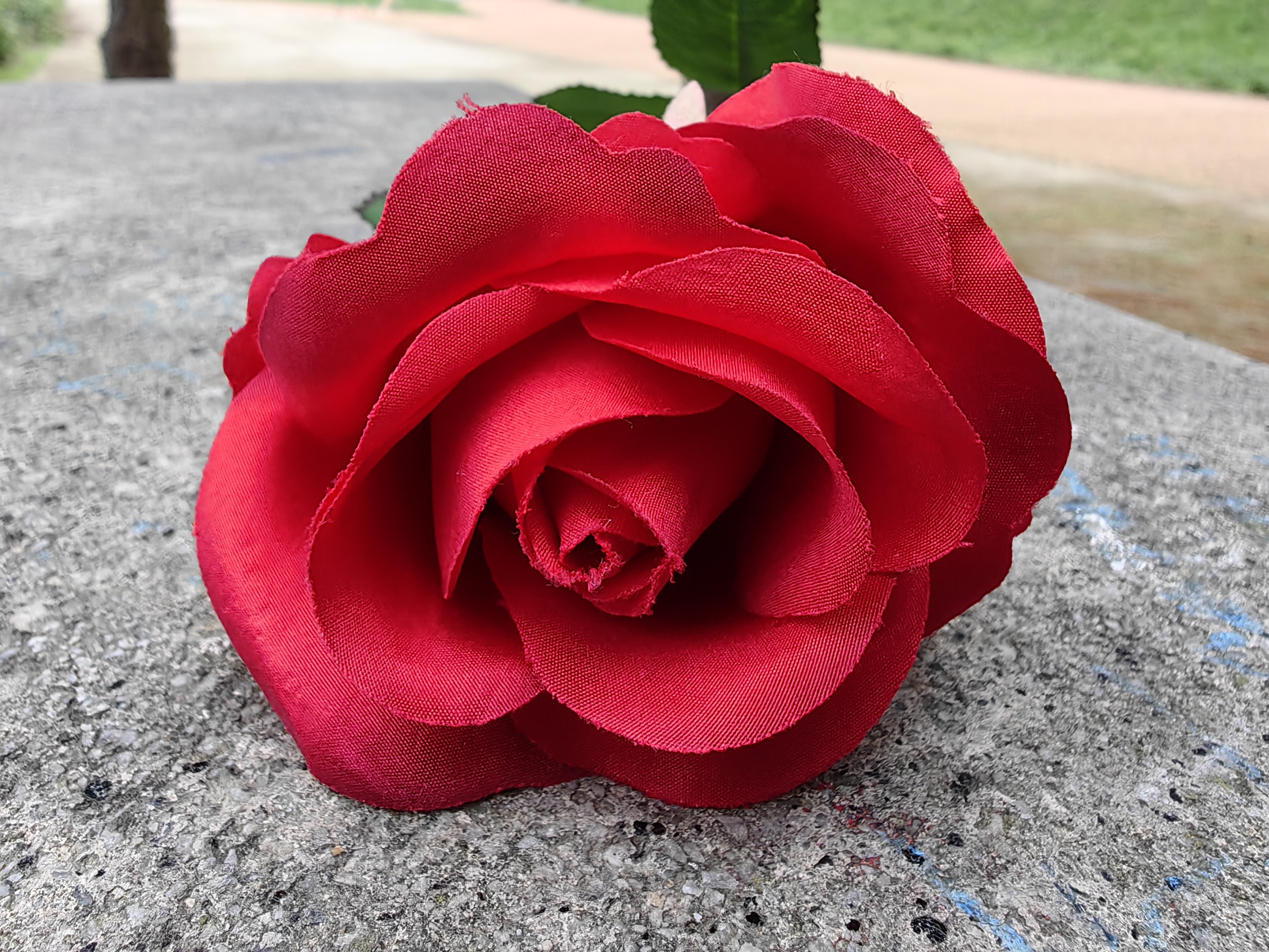 FIORE HUAWEI MATE 50 PRO