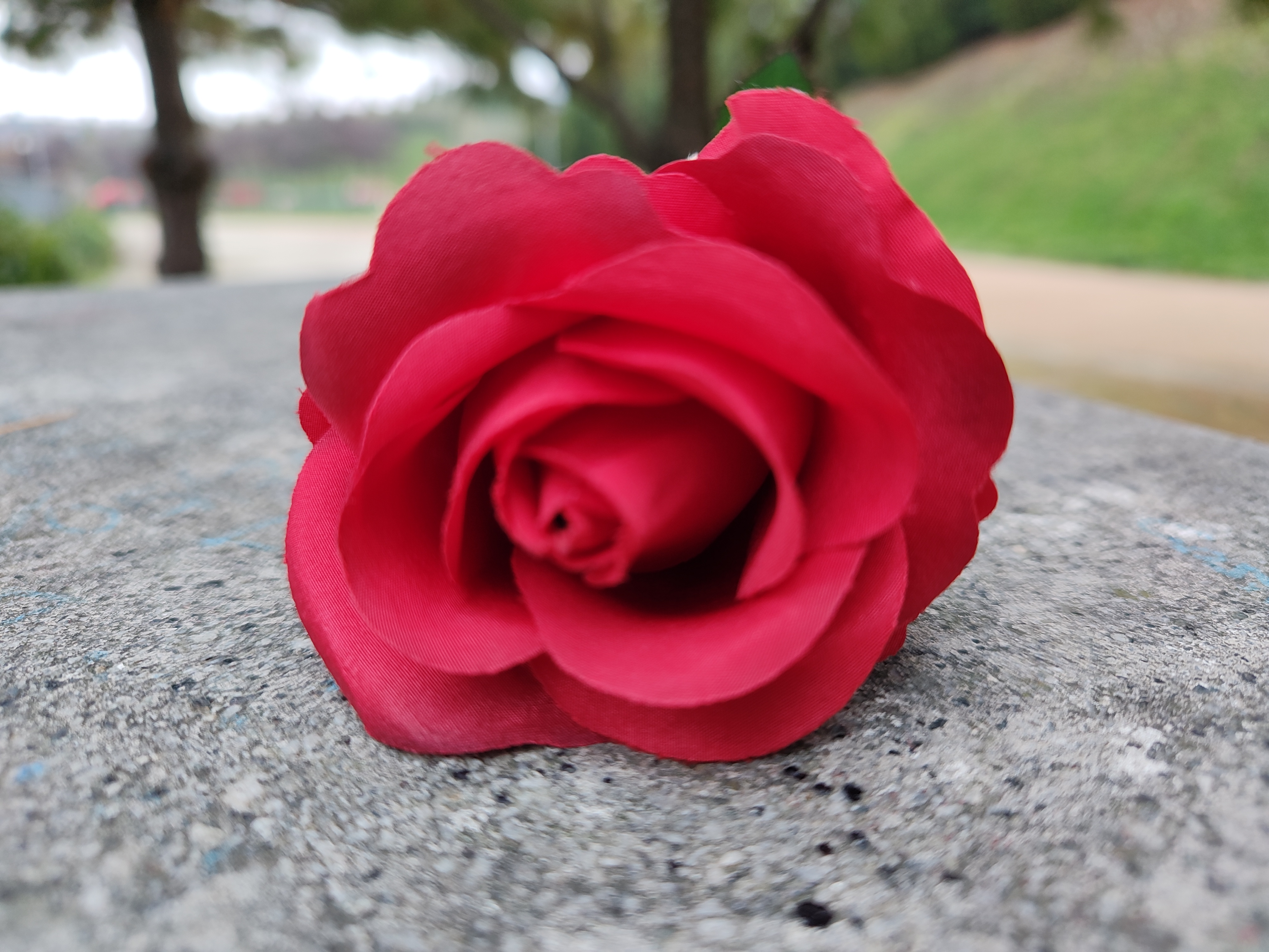 FIORE MOTOROLA EDGE 30 ULTRA