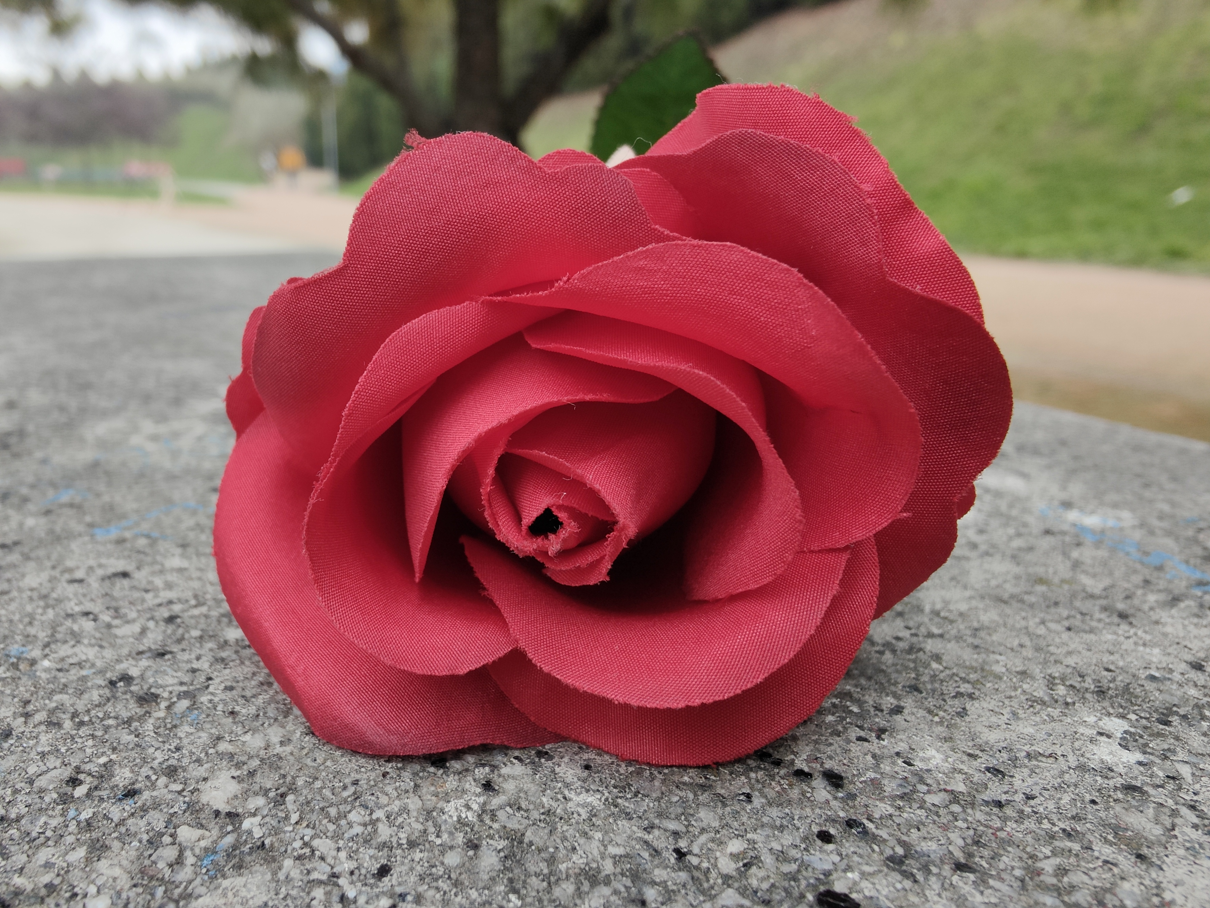 FIORE OPPO FIND X5 PRO