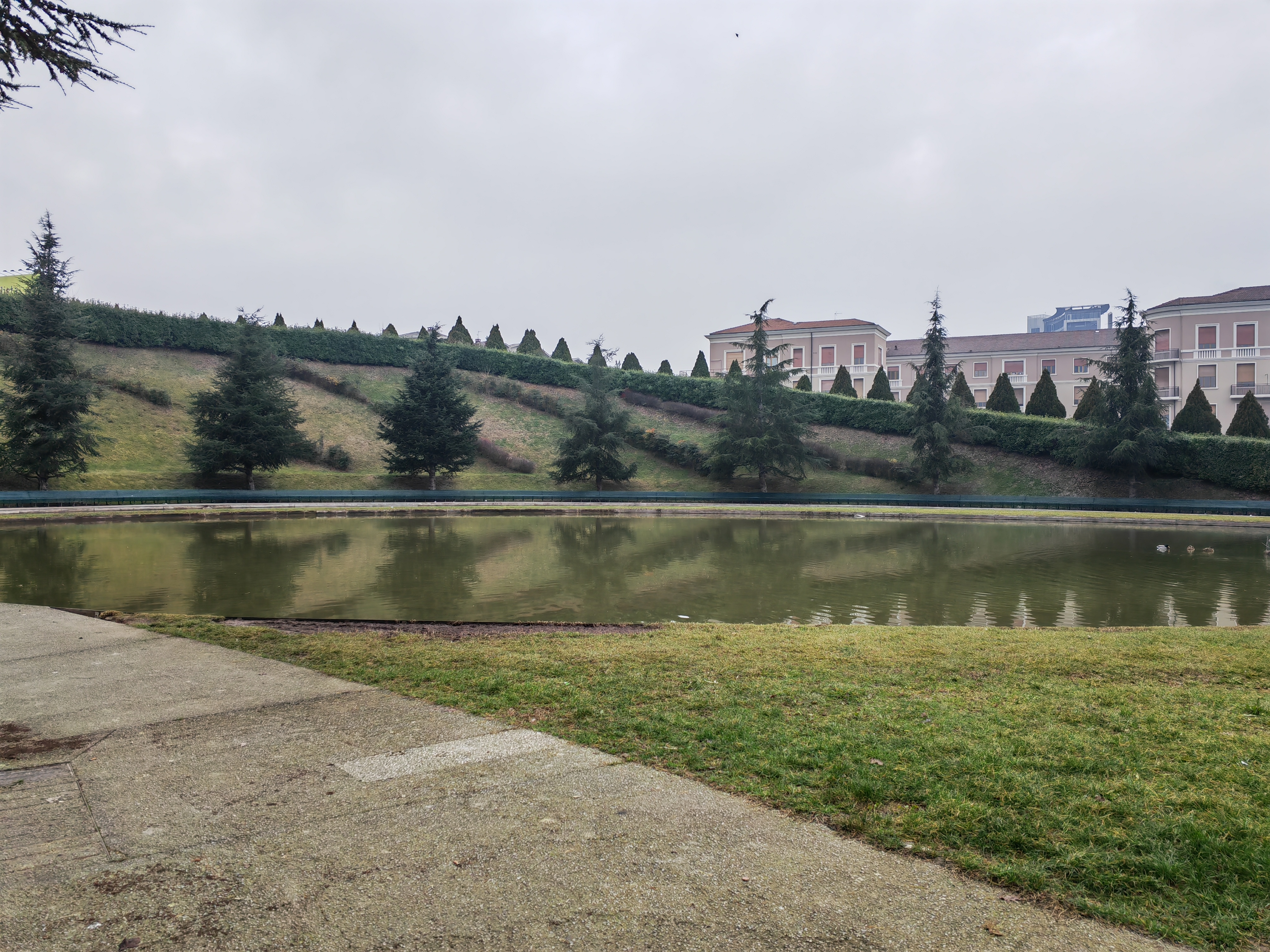 STANDARD HONOR MAGIC 4 PRO