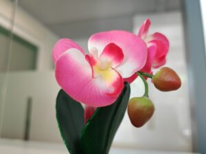 FIORE INTERNO HONOR MAGIC5 PRO