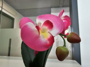 FIORE INTERNO SAMSUNG S23 ULTRA