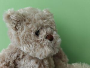 ORSETTO INTERNO HONOR MAGIC5 PRO