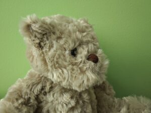 ORSETTO INTERNO XIAOMI 13 PRO