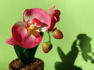 FIORE HONOR MAGIC5 PRO