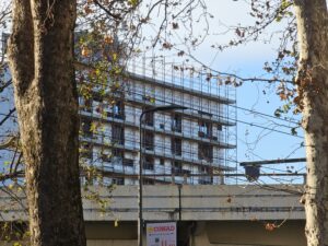 ZOOM DAY 10X SAMSUNG S23 ULTRA