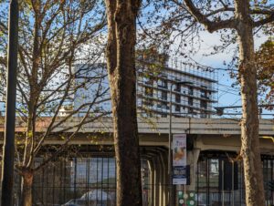 ZOOM DAY GOOGLE PIXEL 8 PRO