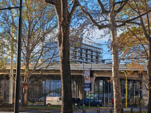 ZOOM DAY HONOR MAGIC5 PRO