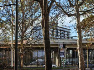 ZOOM DAY HUAWEI P60 PRO